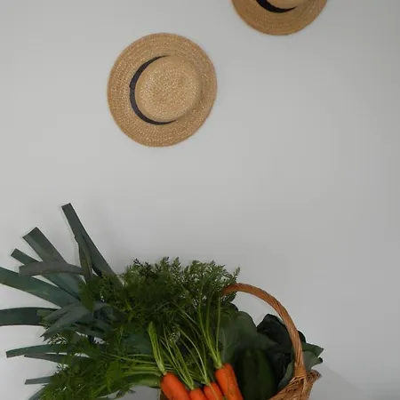 Tatil Evi Serra Da Pescaria House - Nazaré