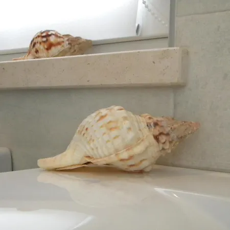 Serra Da Pescaria House - Tatil Evi *